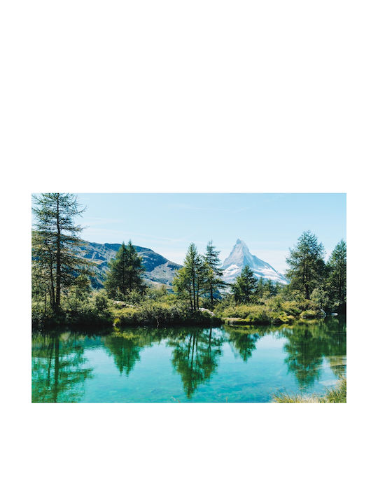 Self-adhesive Wall Wallpaper 220x135cm Washable