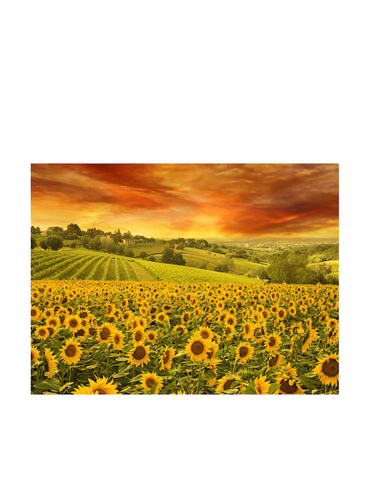 Autocolantă Tapet de Perete 350x250cm Lavabil