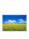 Tapet Autocolant Natura104 220x135cm Lavabil