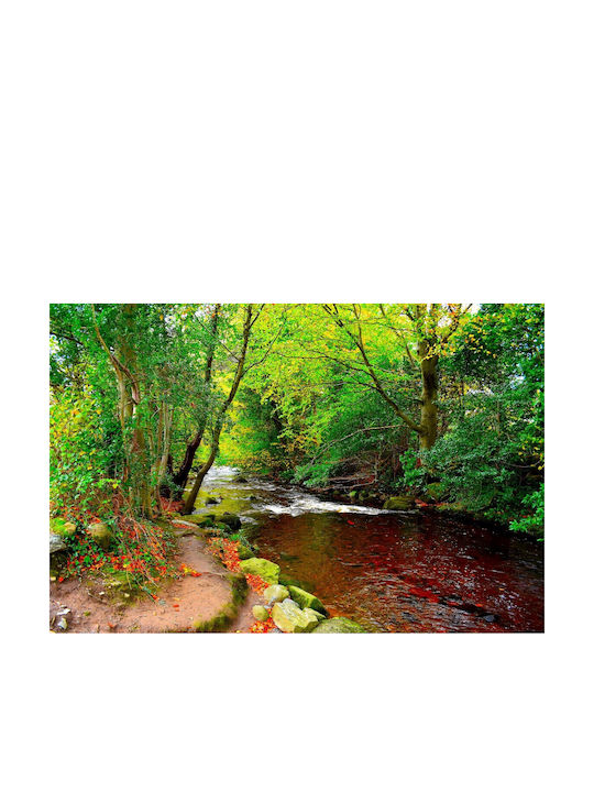 Autocolantă Tapet de Perete 250x150cm Lavabil