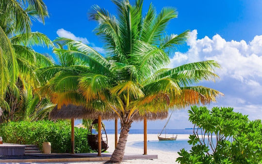 Selbstklebende Tapete Wand Summer Beach Vacation 300x250cm Waschbare