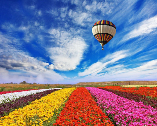 Selbstklebende Tapete Wand Balloon Over Field Flowers 300x200cm Waschbar