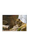 Autocolantă Fototapet de Perete 270x200cm Lavabil