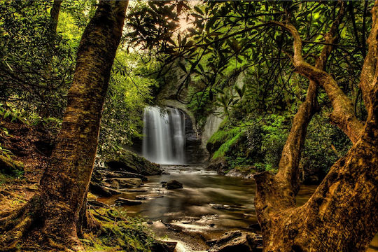 Self-Adhesive Wall Wallpaper Small Forest Waterfall 300x250cm Washable