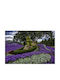 Autocolantă Fototapet de Perete 300x200cm Lavabil