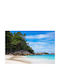 Tapet de Perete 220x135cm Lavabil