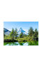 Tapet Autocolant Natura146 300x200cm Lavabil