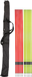 TW Sport Slalom Pole