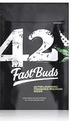 Fast Buds Σπόροι