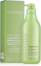 Cocochoco Sulfate Free Cocochoco Sulfate Free