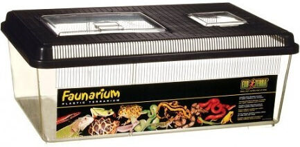 Exo Terra Faunarium Reptilien Terrarium 46x30x17cm