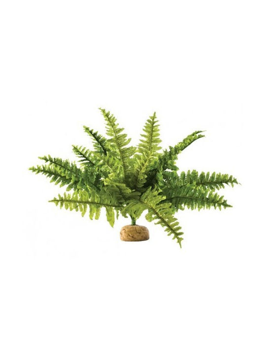 Fern in Pot Exo Terra
