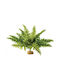 Fern in Pot Exo Terra