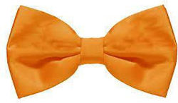 Carnival Bow Tie Orange