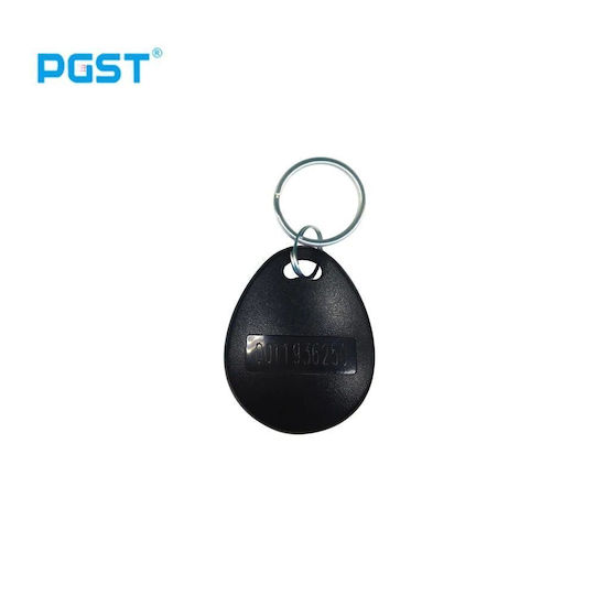 PGST Magnetischer Zugangstag 125kHz