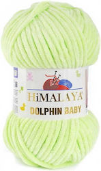Himalaya Dolphin Baby Himalaya Dolphin Baby