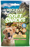 Arquivet Dog Treat 100gr