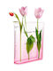Διακοσμητικό Βάζο Glas Plexiglass Rosa 20x20x16cm 1Stück