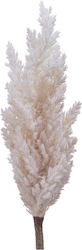 Everlands Artificial Decorative Branch Pampas Grass Beige
