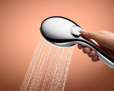 Grohe Tempesta 110 Handheld Showerhead