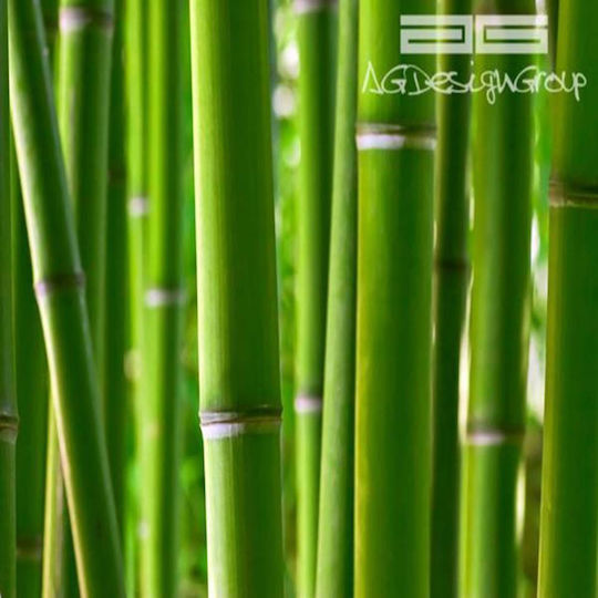 Fototapete L360xB254cm 1-30-F0170