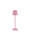 Table Lamp with Pink Shade and Base