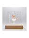 Table Decorative Lamp LED Transparent