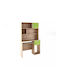Kids Desk with Library made of Melamine Green 100x55x180cm