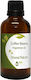 Nature & Body Αρωματικό Έλαιο 30ml