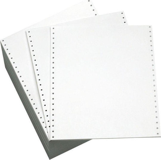 Matalon Matalon Buchhaltungsformulare Endlospapier 2-teilig (2x1000 Blätter)