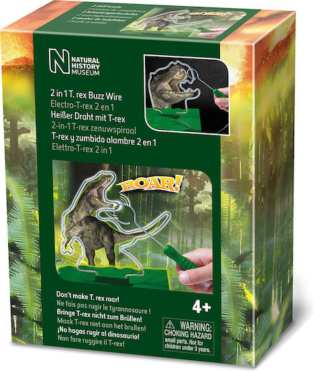 Brainstorm Flowering Dinosaur STEM Educational Game Experiments for 4+ years old Years Old