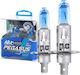 Pegasus Lamps Car H1 Halogen 6000K Cold White 12V 100W 2pcs