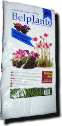 Plant Soil 20lt