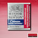 Winsor & Newton Water Watercolour Multicolour