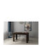 Hazel Tisch Speisesaal Holz Wenge 120x80x75cm