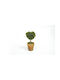 Artificial Plant in Small Pot Buxus (Common box) 1pcs