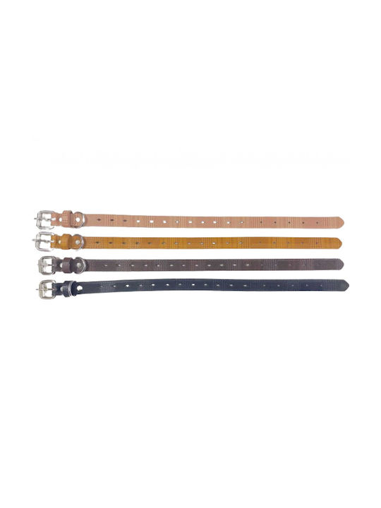 Dog Collar 30mm x 56cm 12pcs (Various Colors)