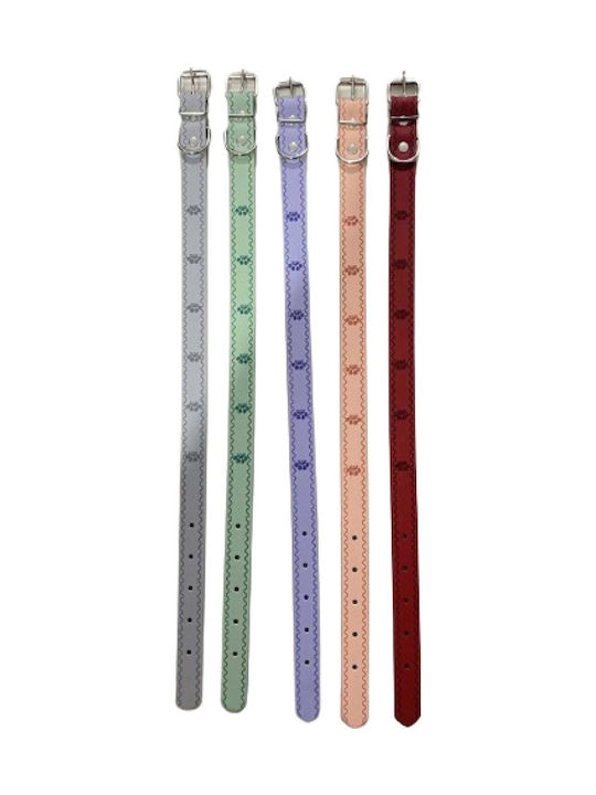 Dog Collar 20mm x 46cm 12pcs (Various Colors)