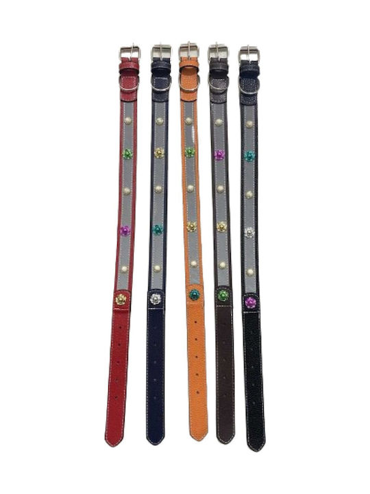 Dog Collar 25mm x 52cm 12pcs (Various Colors)