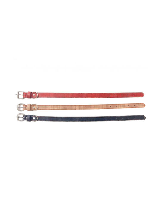 Dog Collar 30mm x 56cm 12pcs (Various Colors)