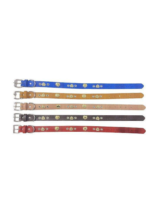 Dog Collar 30mm x 56cm (Various Colors)