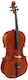 Hidersine Vivente 4/4 Cello With Case and Bow