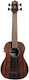 Kala Ebony Fretless Bas Ukulele Natural Satin