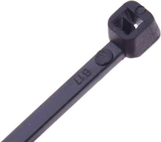 Ergom Pack of 100pcs Black Plastic Cable Ties E01TK-01050100401