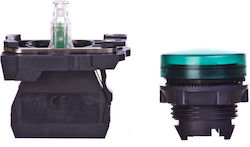 Schneider Electric Lkw-Volumenlichter 1Stück 24V - Grün XB5AVB3