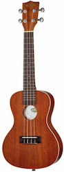 Kala KA C RW Konzert Ukulele