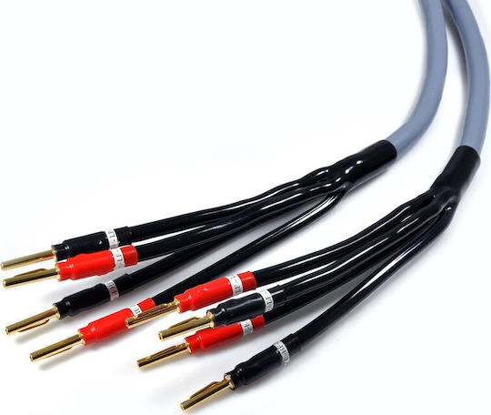 Melodika Speaker Cable Banana - Banana 2.5m