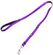 Petler Dog Leash/Lead Strap in Purple color
