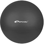 Spokey Exercise Ball Pilates 65cm in Negru Color