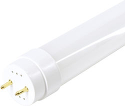 Bemko Bec LED 18W pentru Dulie G13 Alb rece Bemko Bec LED 18W pentru Dulie G13 Alb rece